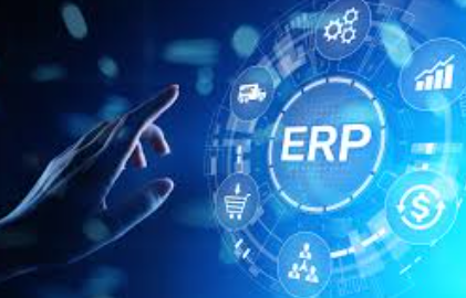 ERP Services